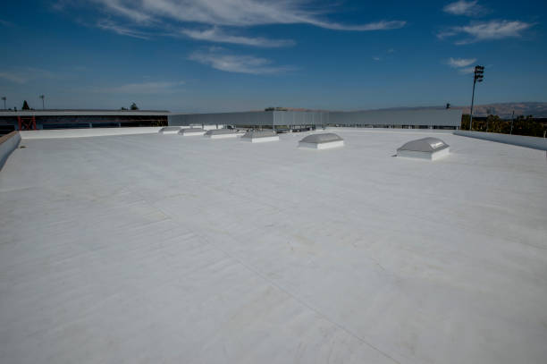 Best Green or Eco-Friendly Roofing Solutions  in Elmore, OH